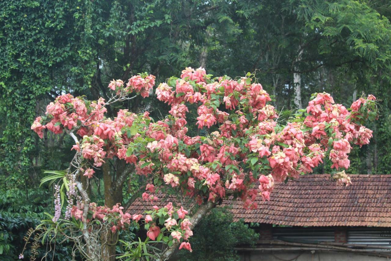 Whistling Woods Farm Stay Kushalnagar Exterior photo